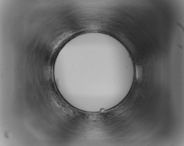 X0000103460579200809261843