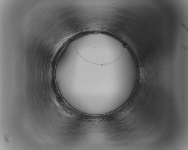 X0000103460580200809261843