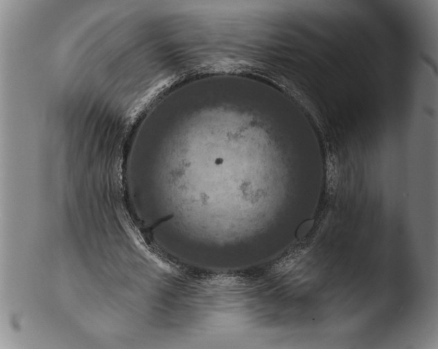 X0000103460581200809261843