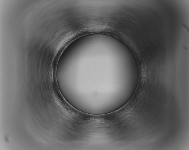 X0000103460582200809261843