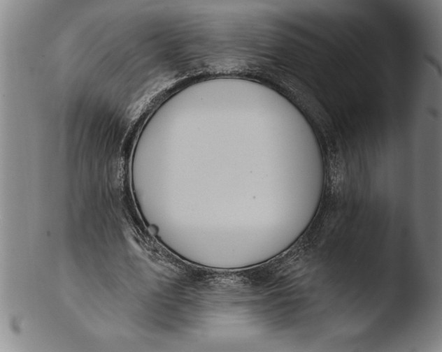 X0000103460583200809261843