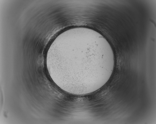 X0000103460584200809261843