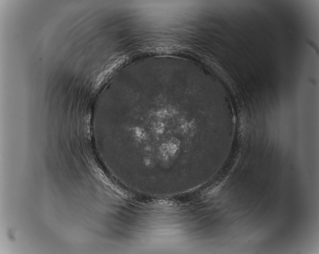 X0000103460585200809261843