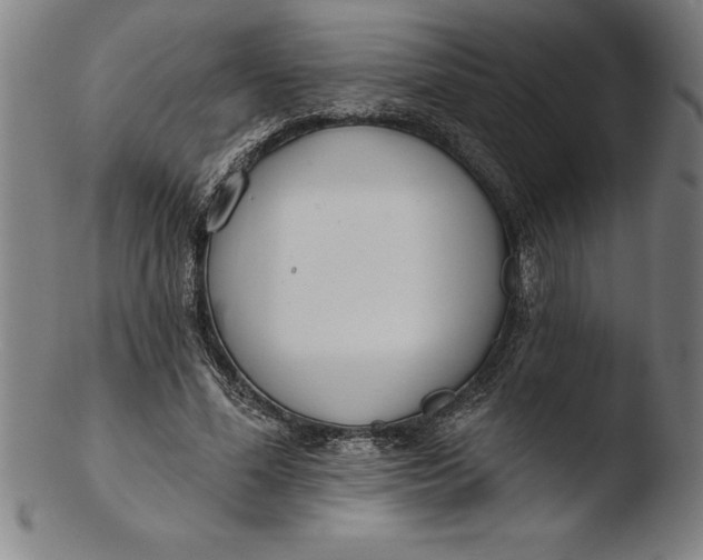 X0000103460588200809261843