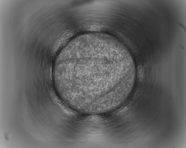 X0000103460589200809261843