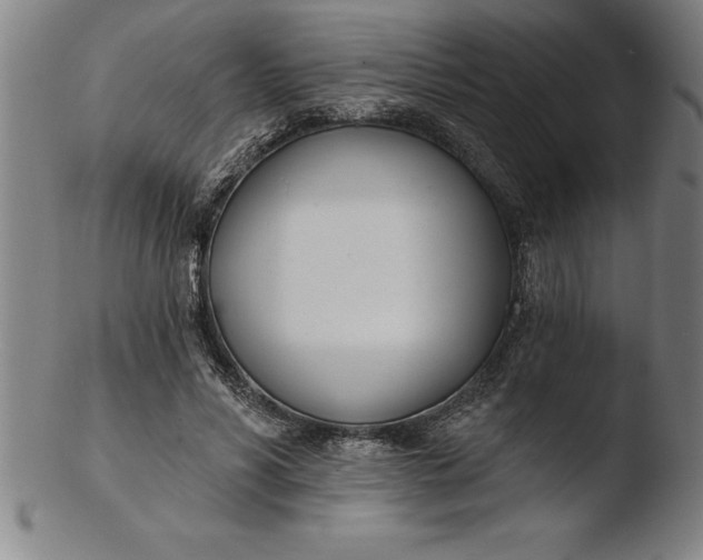 X0000103460590200809261843