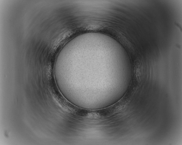 X0000103460591200809261843