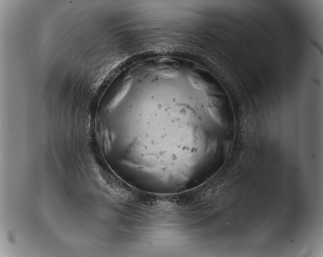 X0000103460592200809261843