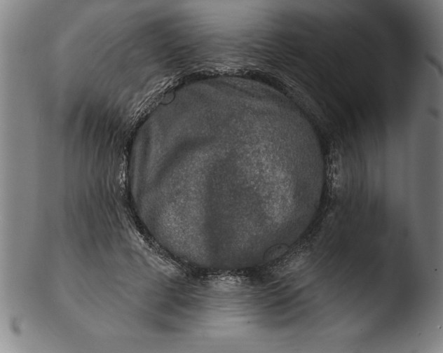 X0000103460593200809261842