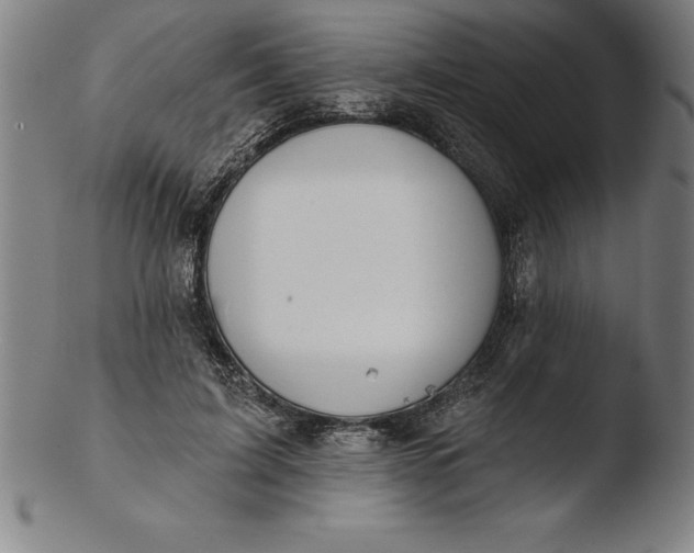 X0000103460595200809261842