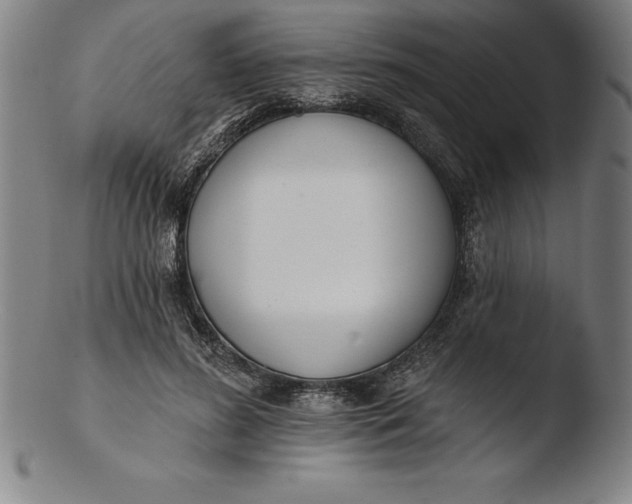 X0000103460596200809261842