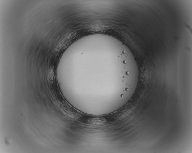 X0000103460597200809261842