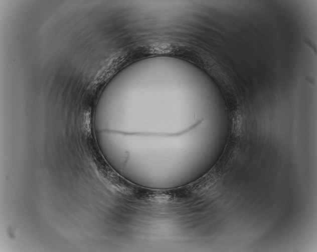 X0000103460598200809261842