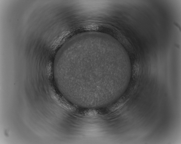 X0000103460600200809261842