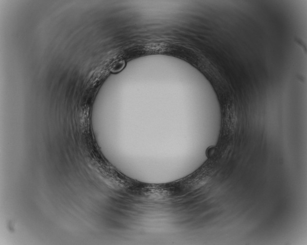 X0000103460601200809261842