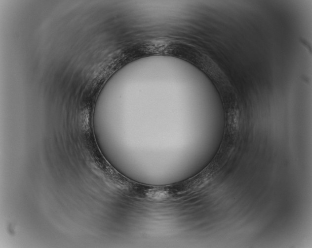 X0000103460602200809261842