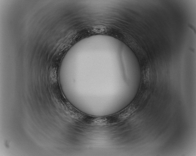 X0000103460606200809261842