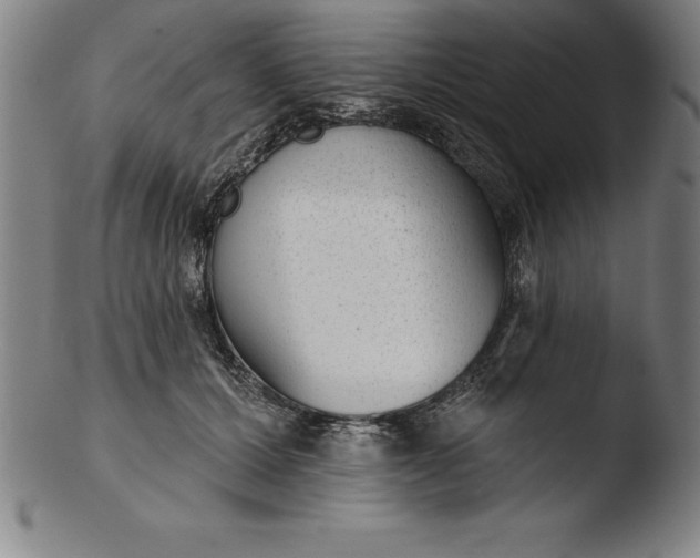 X0000103460607200809261842