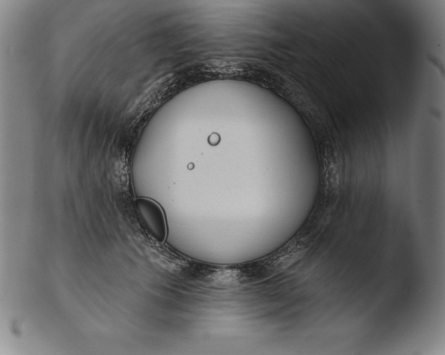 X0000103460609200809261842