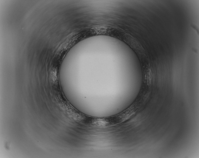 X0000103460610200809261842