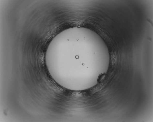 X0000103460613200809261842