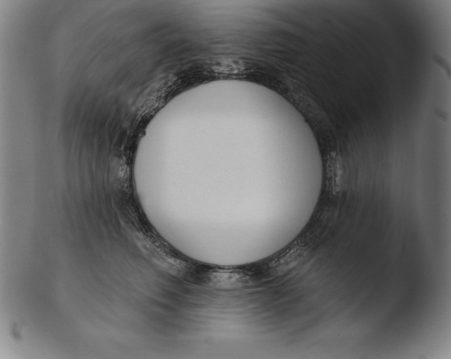 X0000103460614200809261842