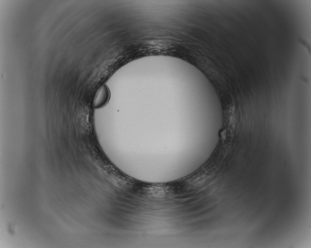 X0000103460615200809261842