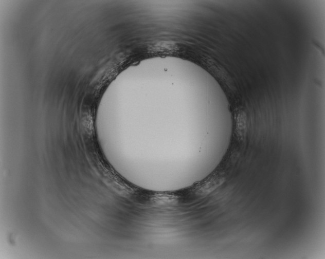 X0000103460617200809261842