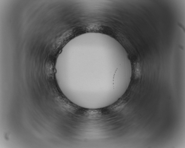 X0000103460619200809261842