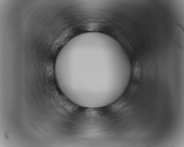 X0000103460620200809261842