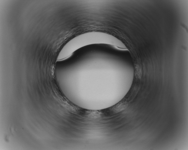 X0000103460621200809261842