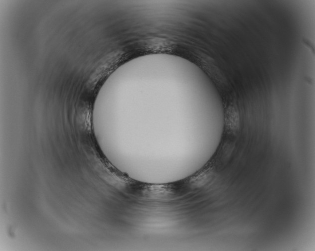 X0000103460622200809261842