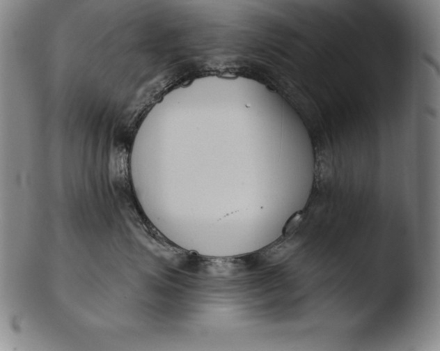 X0000103460623200809261842