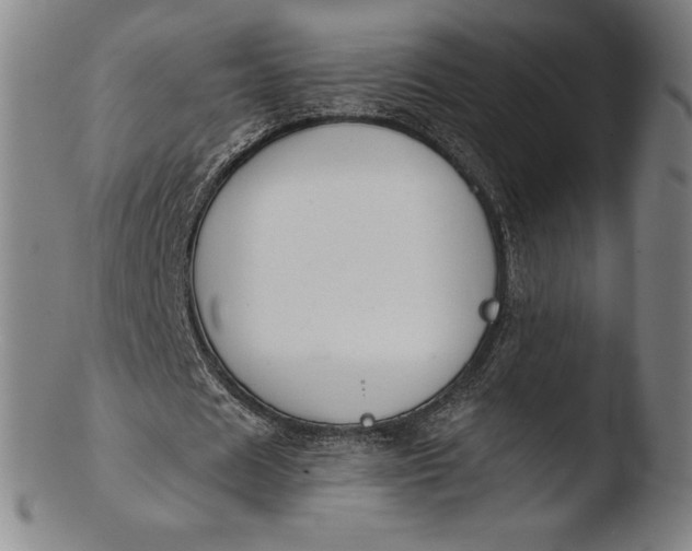 X0000103460625200809261841