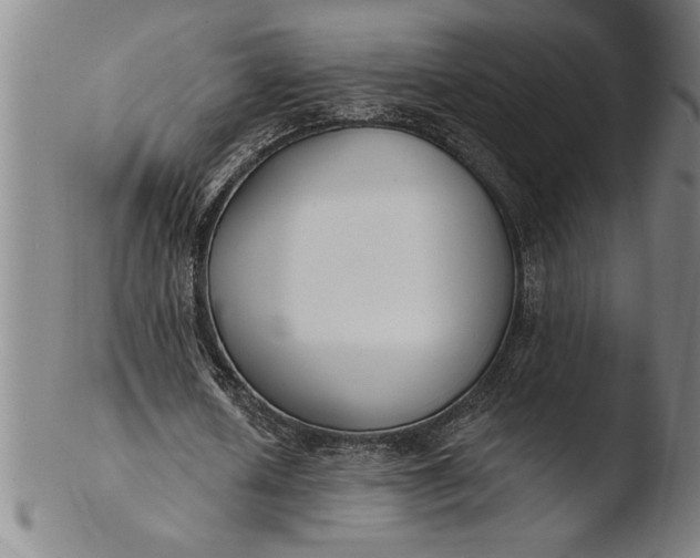 X0000103460626200809261841