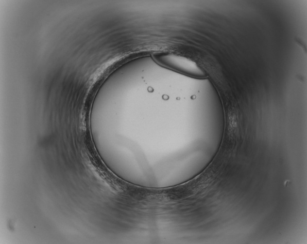 X0000103460628200809261841