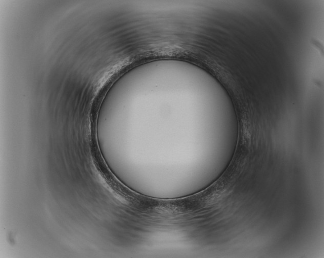 X0000103460630200809261841