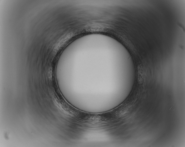 X0000103460631200809261841