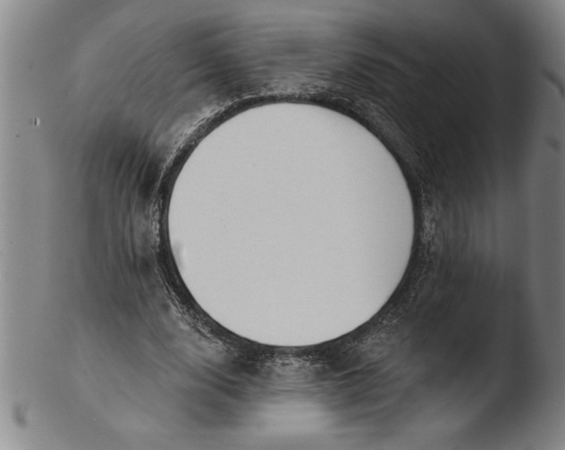 X0000103460632200809261842