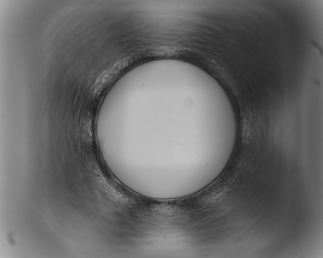 X0000103460633200809261842