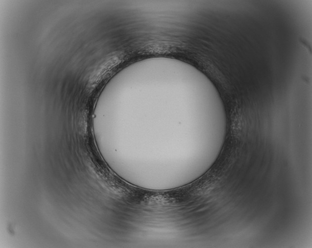 X0000103460635200809261842