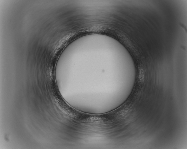 X0000103460636200809261842