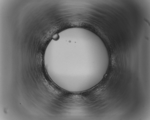 X0000103460637200809261842