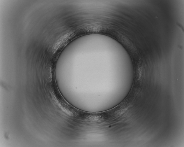 X0000103460638200809261842