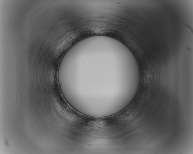 X0000103460639200809261842