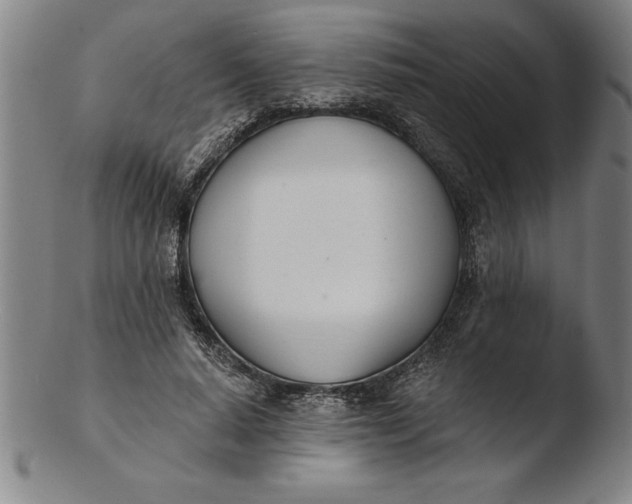 X0000103460640200809261842