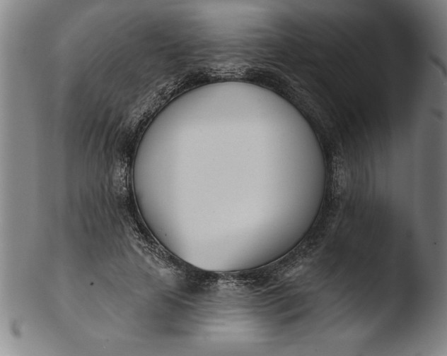 X0000103460641200809261842