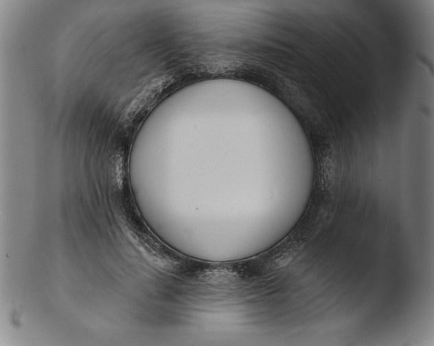 X0000103460644200809261842