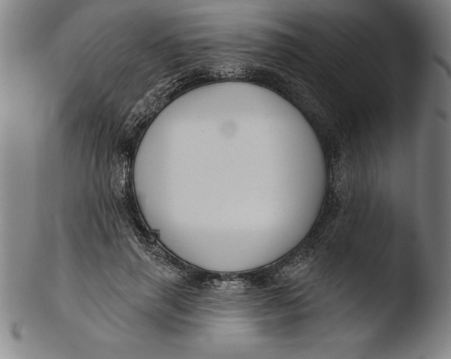 X0000103460645200809261842