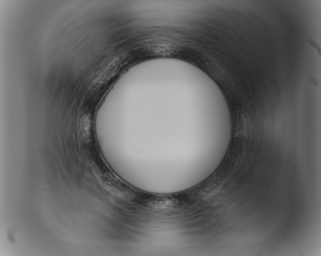 X0000103460646200809261842